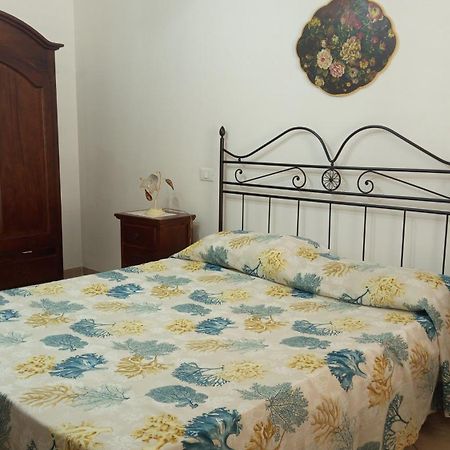 סן ויטו לו קאפו Case Nel Giardino מראה חיצוני תמונה